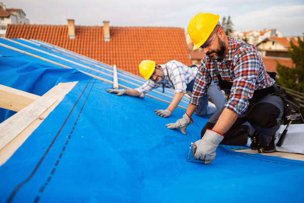 Best Roof Insulation Installation  in Linden, CA